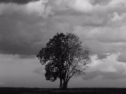 Item #83078762740139376938718327427233199779928808493802448471748731820854093021185 Media