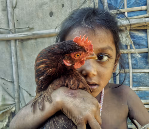 Item #28483083615204022371300351477704581571274768988091129970329682065875208765441 Media