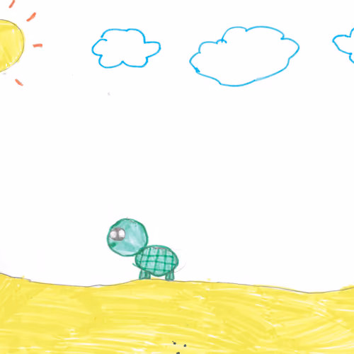 Beach turtle