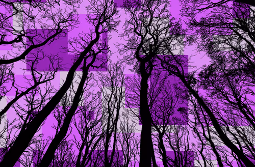 Item #98452652739139728385833177139880784176422420203299536309471942771213680508929 Media