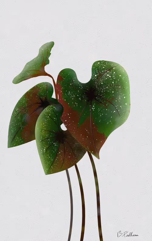 Item #9641845657175205690411039242765828778278383220905178197678805822997838954497 Media