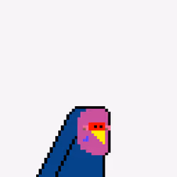 Budgie #291