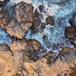 The Surf | Aaron Reed Photography
