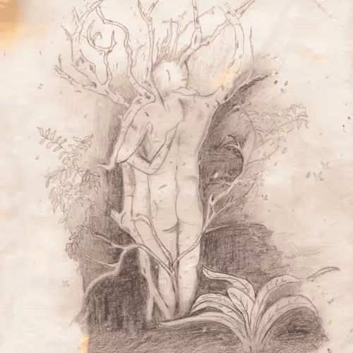 MaanikaTama Collection