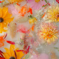 80829721372825377784010953381890255518558028243098186913878117617913013731329