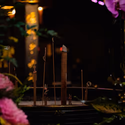  Arranged Fragrance