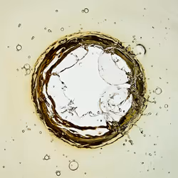 46489901761508154690977052556102681350934379687164571149816291753578142367745