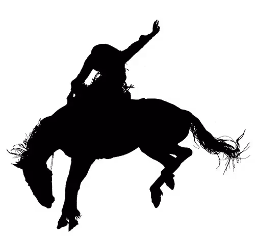 Item #8462006038132717594222994470391068267996089795523310855480147331731733610497 Media