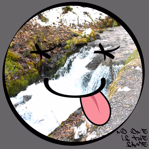 Item #51873618375732866653834179613561209928070521070490563868616644558840651579393 Media