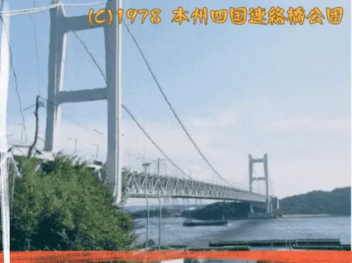 Item #57564924233980047606355697429991387706353180624782023811246230256472624726017 Media