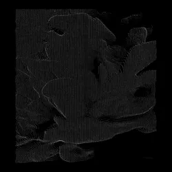 Interference #26
