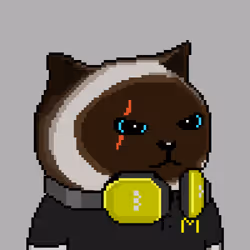 104919872742152227807235166418500170476562355609761586582247812633173862383617