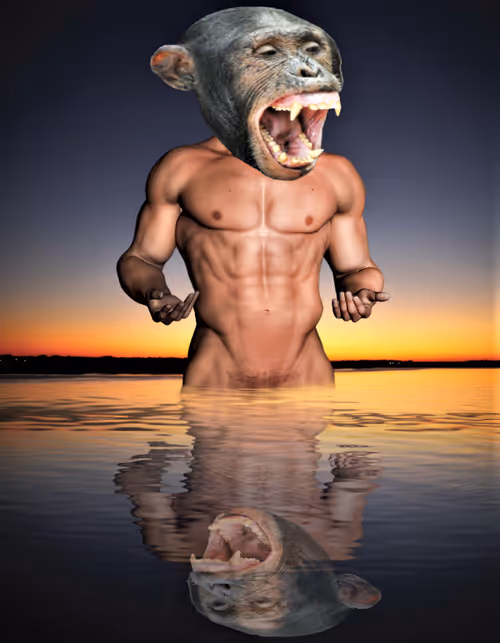 Item #14841988310440250522005790873620147993191226798072072988279030976675718365185 Media