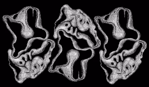 Item #48216677678887992956199146050101977369740452437452834237877791423406213693441 Media