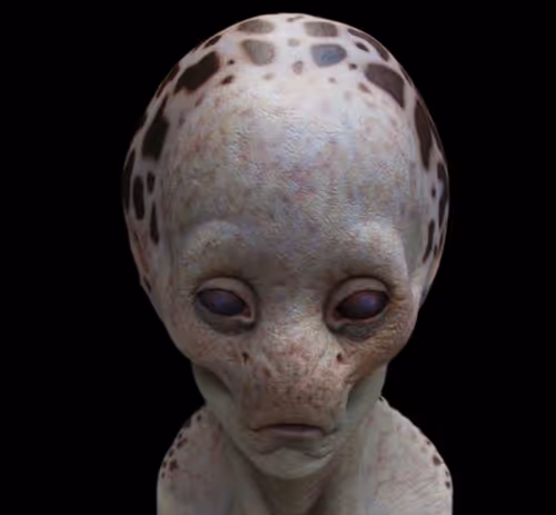 Item #97107590523923761146299885224419256175613868444109951227489717520062476189697 Media