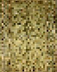 12325373483572719967795320012061967533914195640300563770075413390393488703489