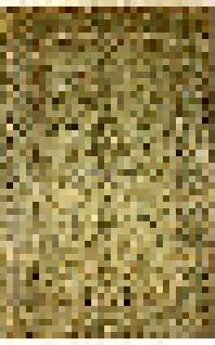 12325373483572719967795320012061967533914195640300563770075413390393488703489