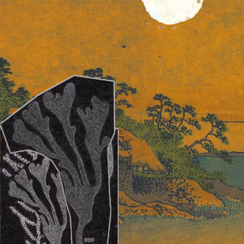 91754164606506966575596469571565985485613429950187136926502423078210132508673