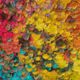 Carpets of fluuffies