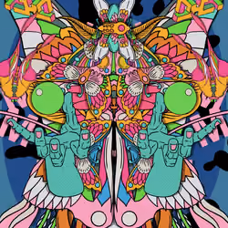 Moths_casemore