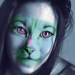 88207903319044114138828574668233581092866410897349003518169250521828634394625