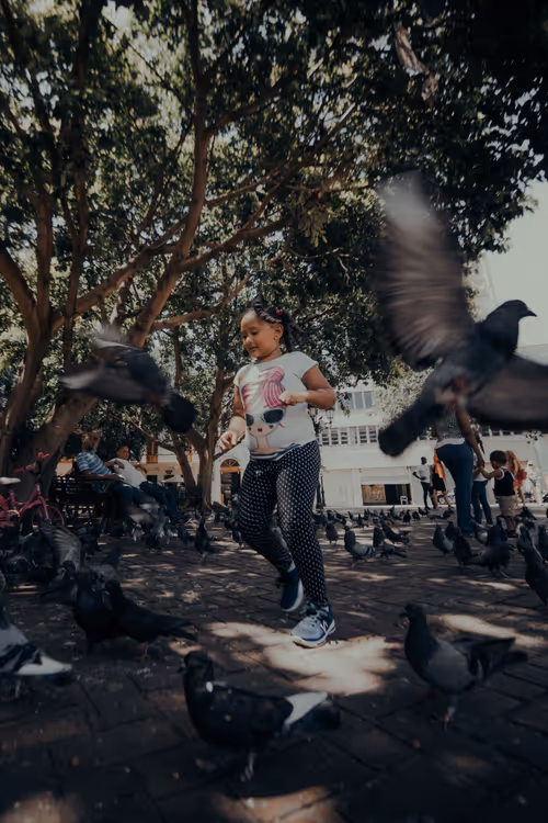 Item #74875889141145645292753782198545527001710615385351102791311981735224757190657 Media