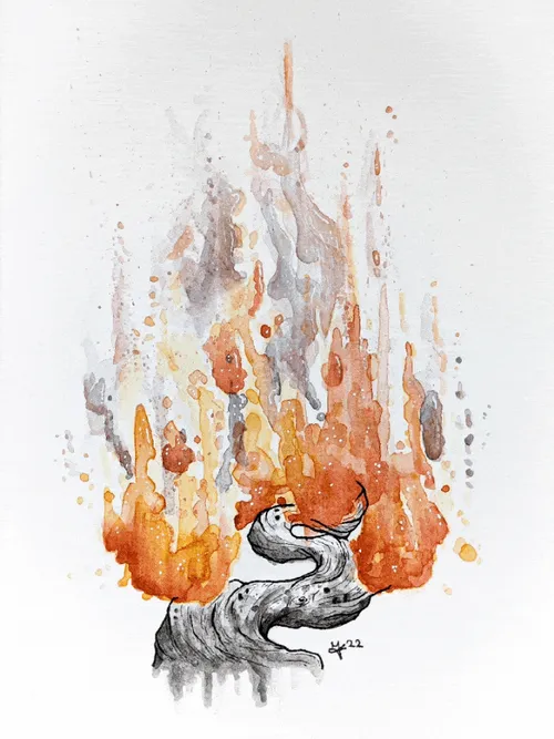 Item #84027275454189118771365438887090308513487515633822991158104392834799265382401 Media