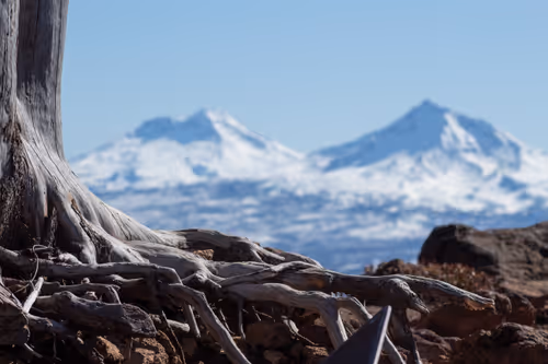 Item #38069088421557280780080489884356511775313840977413642295707171741271926505473 Media