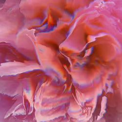 Pink Emotions