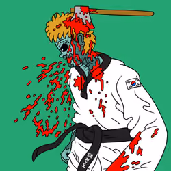 #27 Taekwondo