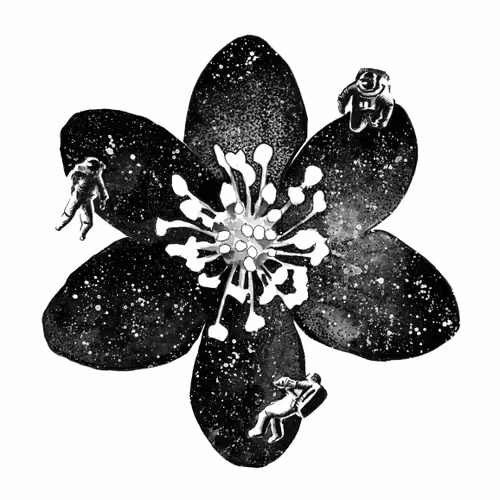 Item #46548102542306053535197972824879933959389801293308215499310327476016769925121 Media