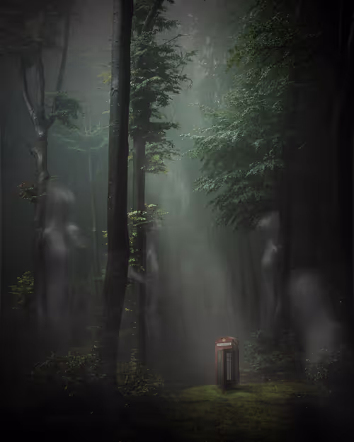 Item #101402258313892478442212721982475816552349155733216032124643297777691607957505 Media