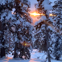 Sunset #1