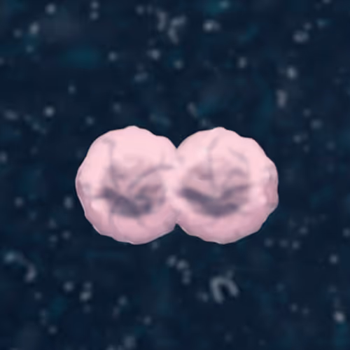 Item #37637092413922226150230885435565787656978392479521048397882450026737487052801 Media