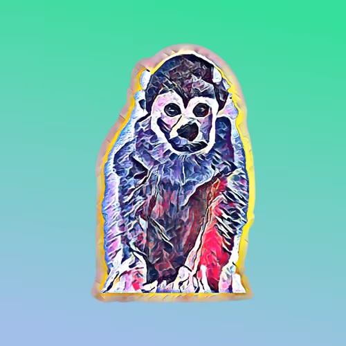 rhompa Collection - old V4