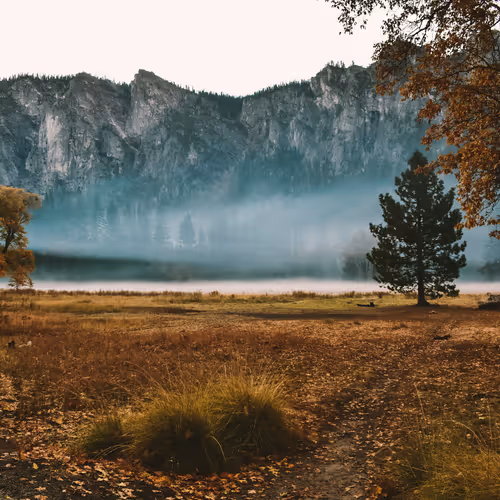 Valleyfloor