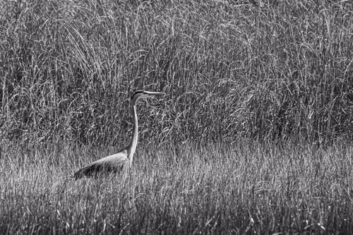 Item #37718881441179036120726966072961310746686791520690982008869122798616552931329 Media