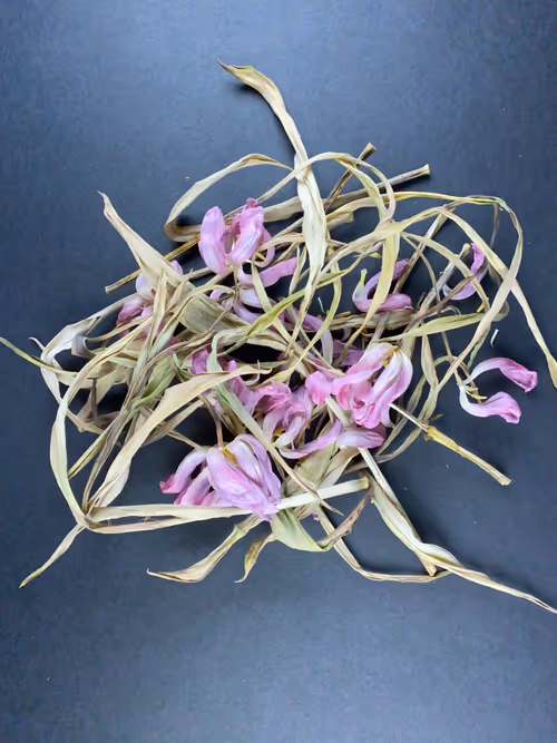 Item #30585250532602043535724079505865678596675897585705809312671979462283868766209 Media