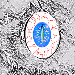 Eye