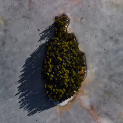 100600280271040798317723628260513137156606623100883316454227272229921337901057