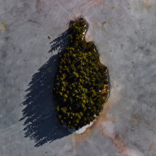 100600280271040798317723628260513137156606623100883316454227272229921337901057