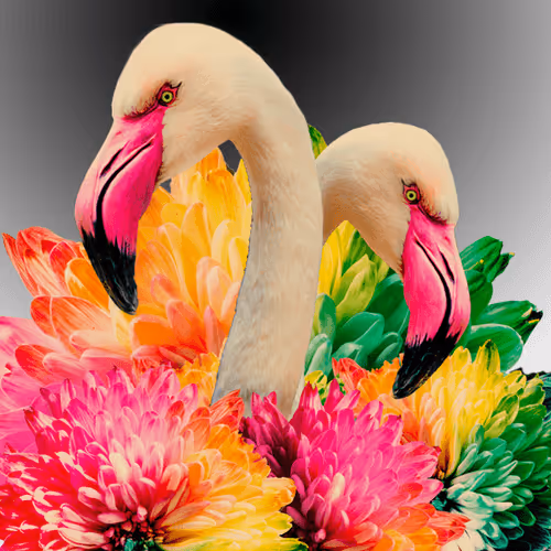 Flamingos_Lab Collection