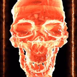 Hologram #18 Skull