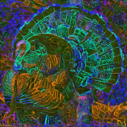 Turkey35