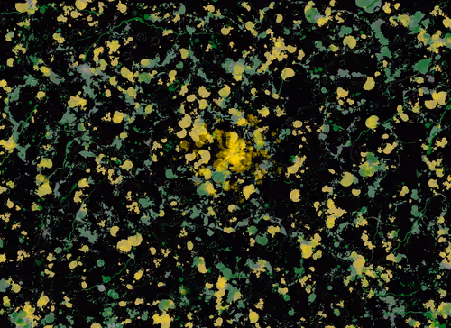 Item #23807547862851357141853996565894485523710675712964198116484924984817814077441 Media