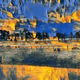 Hirscapes : The Tranquil Oasis
