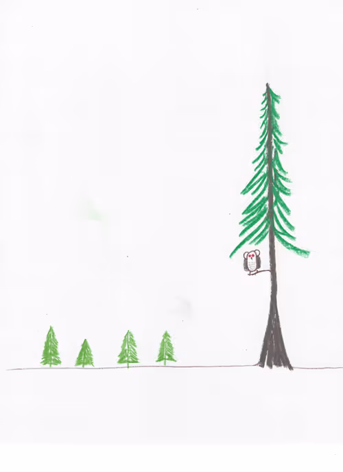 Item #23218060550821745609800623272602319113326301581644647180881602206425365348353 Media