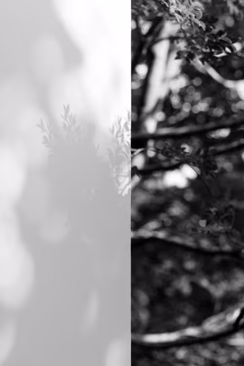 Item #17875095914178032267336007713577940099999905130221707402201075548696199823361 Media