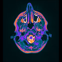 64162533542198579898252916190583583845604629893829087458582975551178947952641