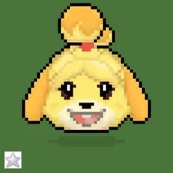 Isabelle Dumpling | #115